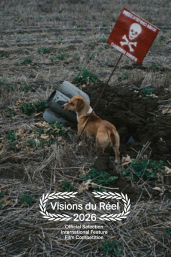 Death in the Making (2026)