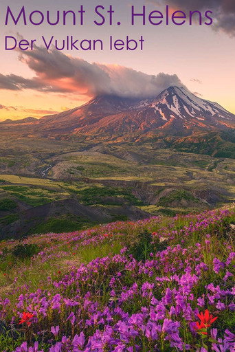 Mount St. Helens - Der Vulkan lebt
