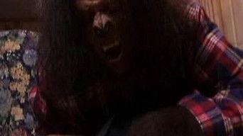 Episode 8 — Moondance