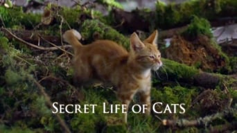 The Secret Life of Cats (2014)