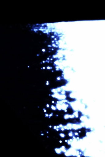 Somnus Aureoles (2024)