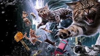 #4 Catnado