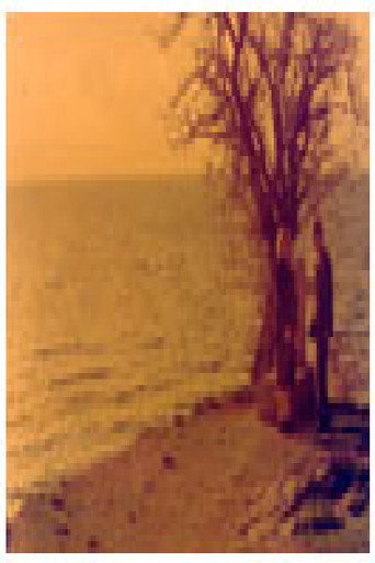 The Love of Kocho Topencharov (1991)