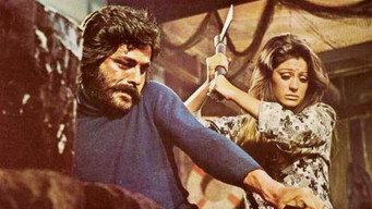 The Misogynist (1973)