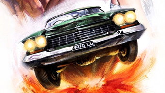 Stuntman (1968)