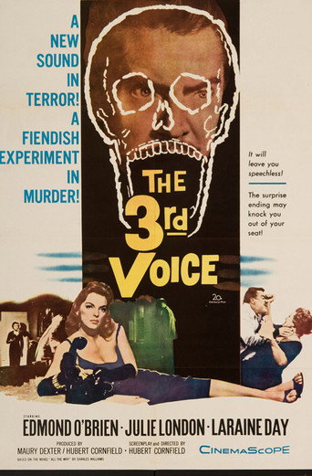 The 3rd Voice — Pósters 4