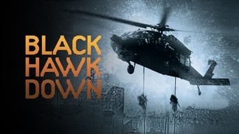 Galeria 3 - Black Hawk derribado