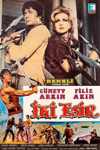 Poster of İki Esir