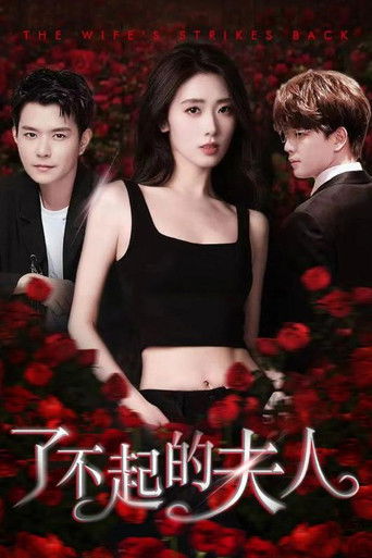 了不起的夫人 poster