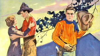 The Texan (1920)