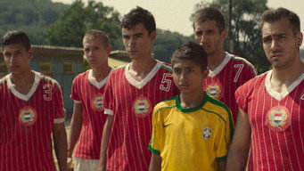 #7 Brazilok