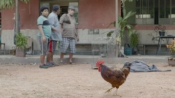 Episódio Galo Pica-Pau da série Pablo e Luisão