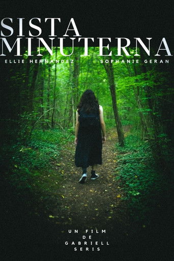 Sista Minuterna poster