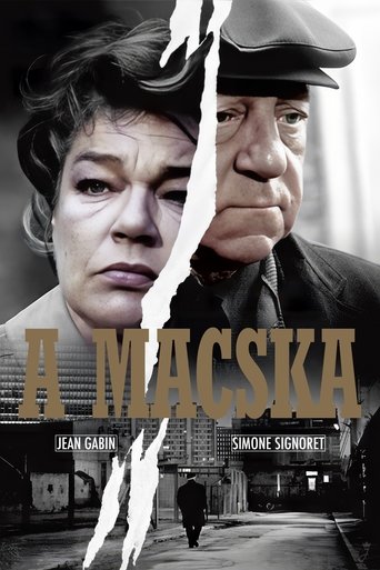 A macska