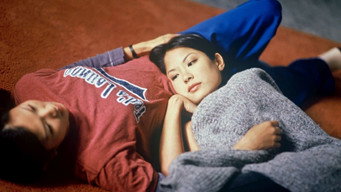 Galeria 5 - Guardando las apariencias