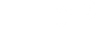 Life of Pi logo