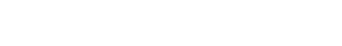 Wild Things logo