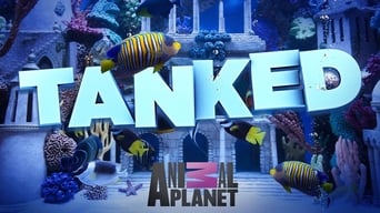 Tanked (2011-2018)