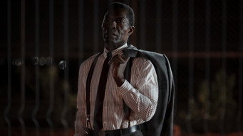 The Fence (2025)
