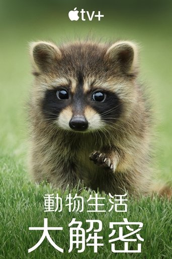 动物的秘密生活