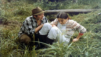 Nevera po slovensky (1981)