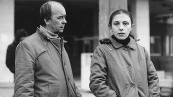 The Sole Witness (1990)