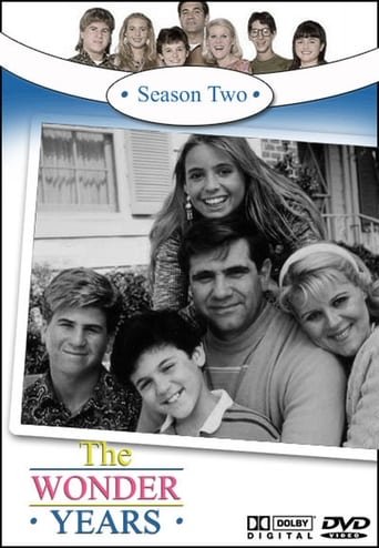 poster The Wonder Years