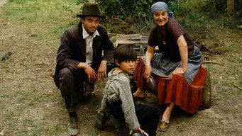 Halgato (1995)