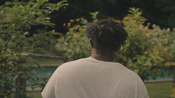 Summer Solstice (2023)
