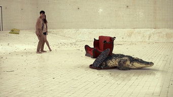 Galeria 5 - The Pool