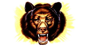 #3 Bear Country