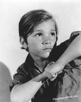 Darryl Hickman