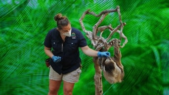#6 Secrets of the Zoo: Tampa