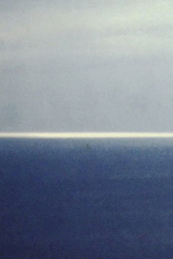 Cartell de ３・・・