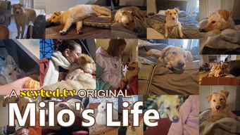 Milo's Life (2024- )