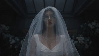 Episode 1 — Never Get on One Knee