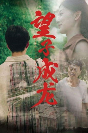 望子成龙 poster