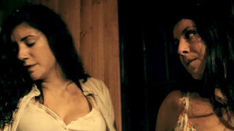 Hidden in the Woods (2012)