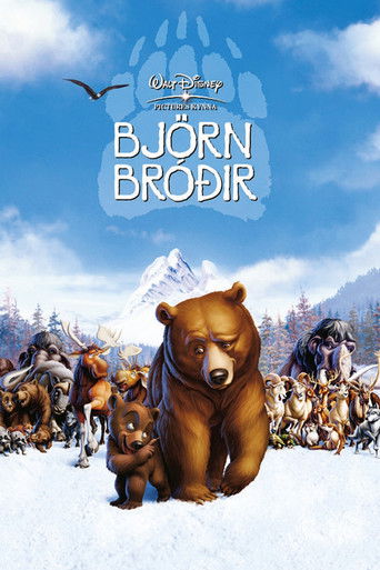 Bj&ouml;rn br&oacute;&eth;ir