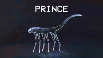 Prince Care Guide