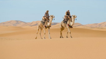 Les Bodin's partent en vrille (2025)