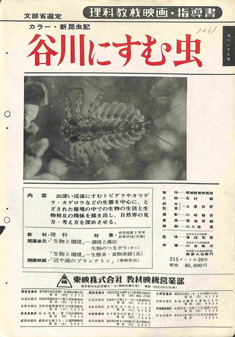 新昆虫記・谷川にすむ虫 (1967)