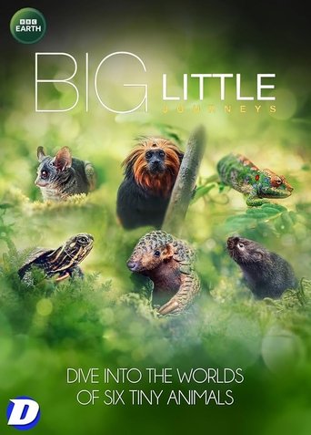 Big Little Journeys: Season 1