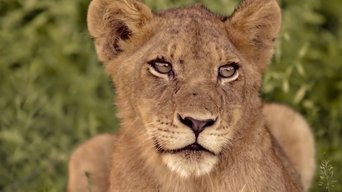 New Kids in the Wild - S2E01