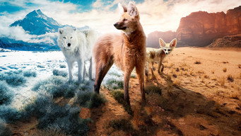Dogs in the Wild (2022-2023)