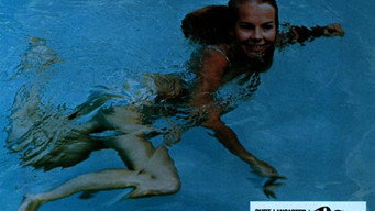 #35 The Swimmer