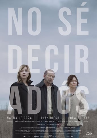 Poster of No sé decir adiós