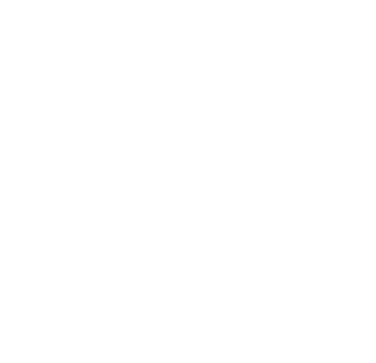 The Monk and the Gun logo