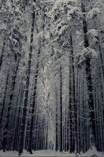 Ethan's Still Image Film