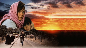 Not Without My Daughter (1991)